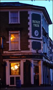 x  Holly Tree     