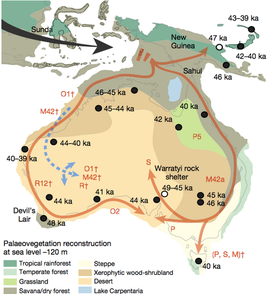 Карта расселения аборигенного населения Австралии. Цветом обозначены разные ландшафты.