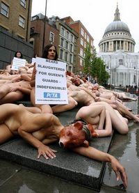 Около 70 активистов PETA устроили голый протест в центре Лондона