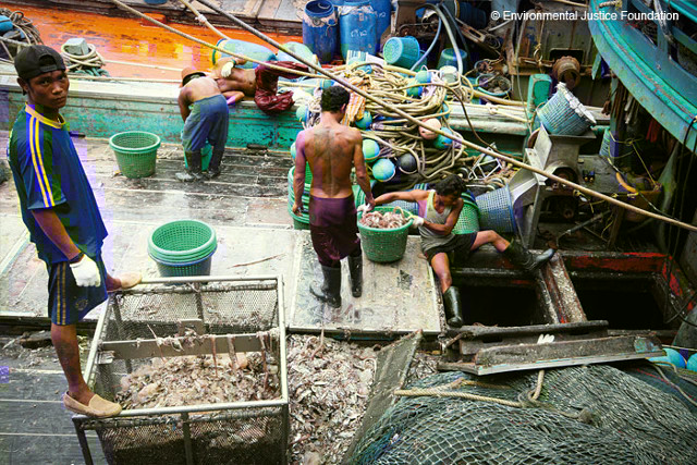 бирманцы на тайской рыбодобыче