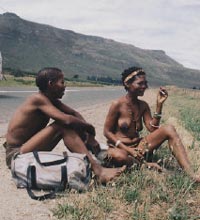 современные южноафриканские бушмены
