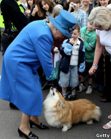 королева Елизавета II сама ухаживает за своими собаками, когда у неё есть время