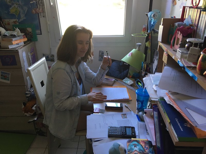 как рассказала 15-летняя француженка Алиса, видеозвонки, соцсети и мессенджеры используются учениками, чтобы совместно делать домашние задания, и преподаватели относятся к этому одобрительно, поддерживают взаимодействие подростков
