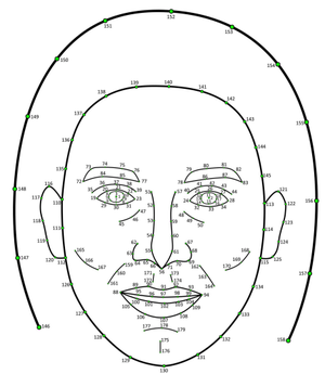 исследователи отметили 65 точек на каждом лице и измерили расстояние между ними, чтобы определить такие особенности, как длина бровей, форма челюсти и размер глаз