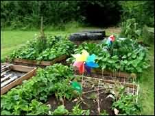 в Британии на огородах можно лишь выращивать овощи и цветы, а ставить жилье запрещено