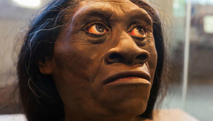 реконструкция облика Homo floresiensis – проточеловека с острова Флорес