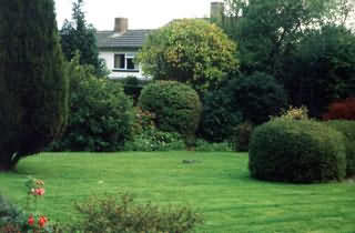 английский сад
