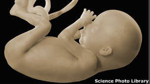 бочки с человеческими эмбрионами были найдены в уральском лесу 22 июля 2012 года