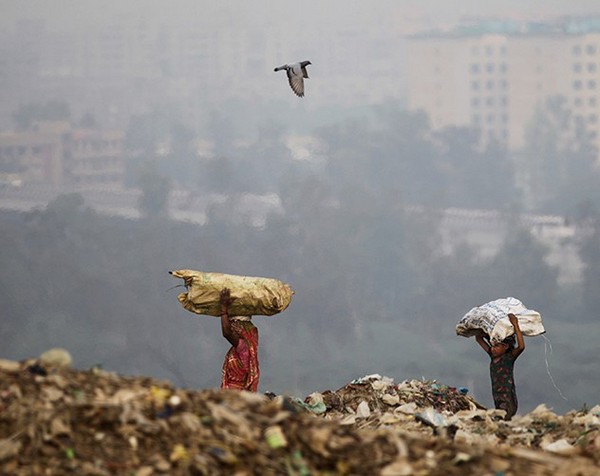 ежегодно в Индии из-за тяжёлых условий работы и антисанитарии гибнут или умирают более 22 тысяч мусорщиков и уборщиков