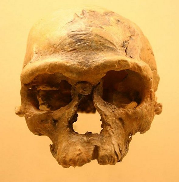 в археологическом памятнике Джебель Ирхуд в Марокко в 2017 году обнаружили останки Homo sapiens, которым 300 тыс. лет