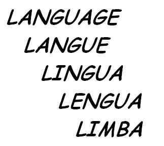 во всех современных языках, имеющих достаточно большое число носителей (я не беру языки малых племён), есть слова, которые вам уже известны