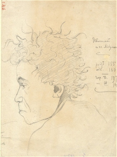 портрет папуаса с указанием антропометрических данных, рис. Миклухо-Маклая