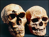 череп неандертальского человека