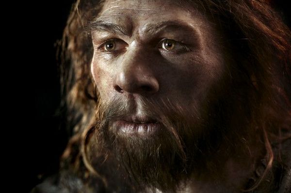 вполне вероятно, что неандертальцы помешали миграции Homo sapiens в Западную Европу, пока их число не начало сокращаться