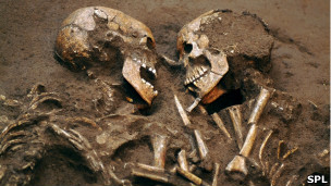 анализ ДНК древних людей может пролить свет на происхождение современного европейца