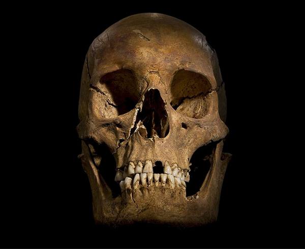 череп английского корля Ричарда III (1452-1485)