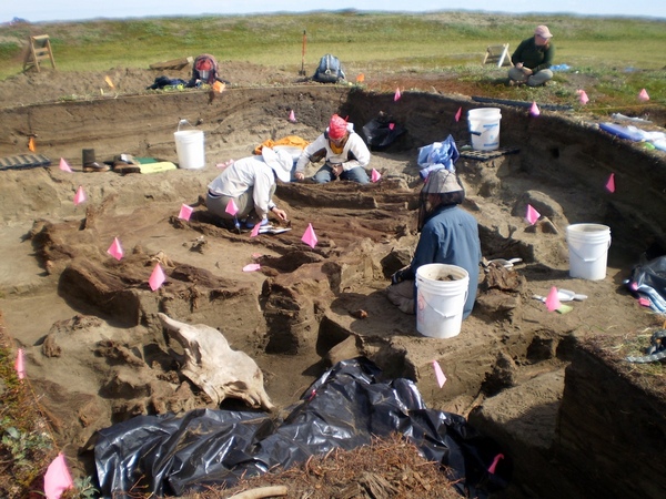 новые артефакты найдены при раскопках тысячелетнего жилища на Аляске, на поселении Всплывающий Кит (Rising Whale) на мысе Эспенберг