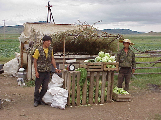 китайцы отправляются в Россию в поисках обширных сельскохозяйственных угодий